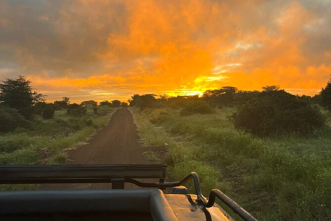 Nairobi National Park Daily Game drives. - Who should book this game drive?
