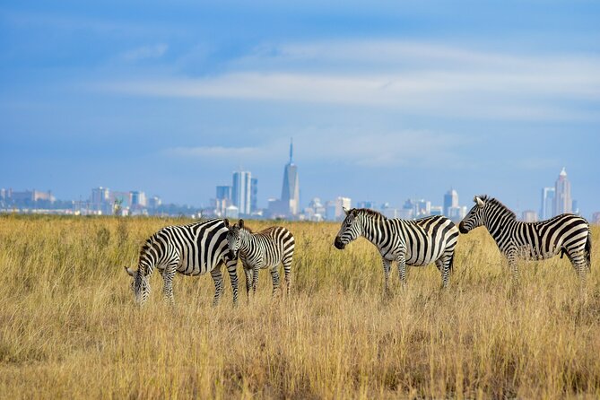 Nairobi: National Park Early Morning or Afternoon Game Drive - Three to four hours searching for wildlife