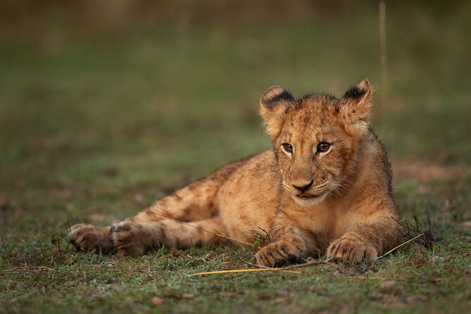 Nairobi National Park, Elephant Orphanage and Giraffe Centre - Kazuri Beads: a useful extra, not a must for everyone