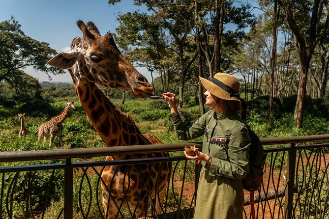 Nairobi National Park, Elephant Orphanage and Giraffe Centre - Lunch and the long middle of the day
