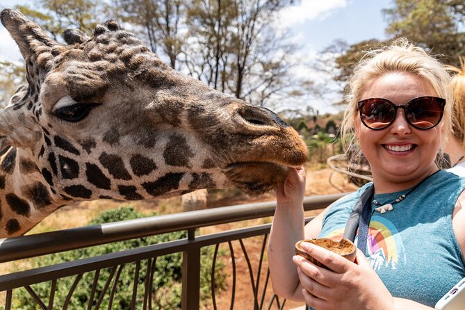 Nairobi National Park, Elephant Orphanage and Giraffe Centre - Timing, traffic, and the six-hour promise