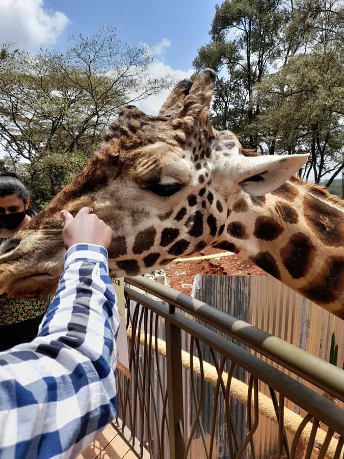 Nairobi: National Park, Elephant Orphanage, and Giraffe Tour - Kobe Tough Beads, recycled materials, and practical souvenirs
