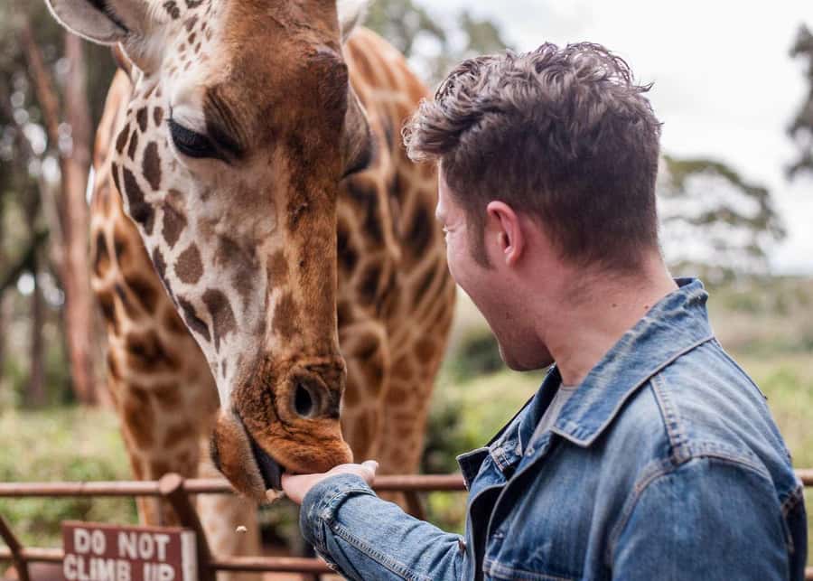 Nairobi: National Park, Elephant Orphanage, & Giraffe Centre - What the $76 price really covers