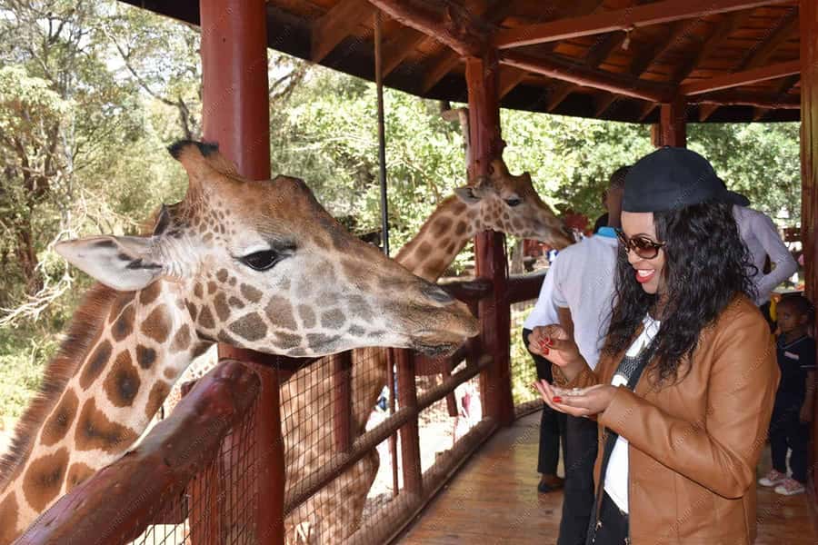 Nairobi: National Park, Elephant Orphanage, & Giraffe Centre - Karen Blixen’s house and the Ngong Hills view