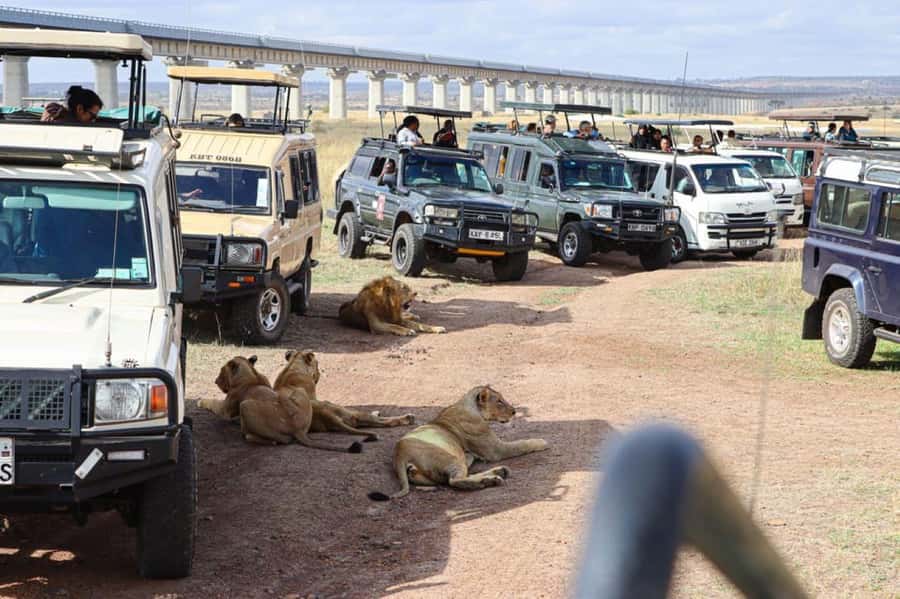 Nairobi National Park Evening Game Drive - A Safari Beside Nairobi’s Skyline