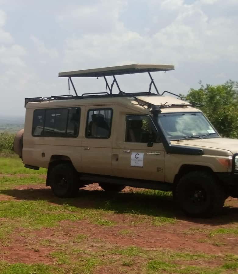 Nairobi National Park Full-Day Tour: Private 4WD with Guide - Lunch at Carnivore Restaurant