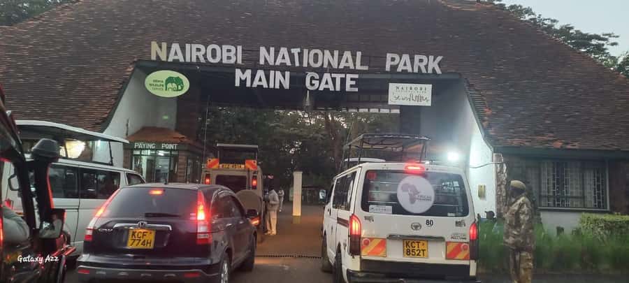 Nairobi national park game drive - Who should choose this game drive