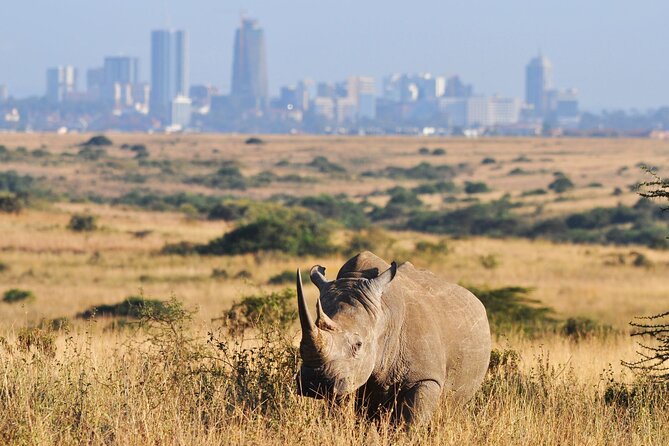 Nairobi National Park Group Tour. - The optional breakfast stop