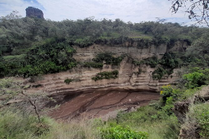 Nairobi National Park Group Tour. - What the $80 price really covers