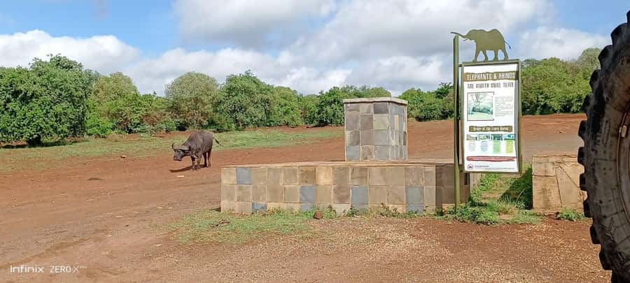 Nairobi National Park Group Tour. - Should you book Nairobi National Park Group Tour?