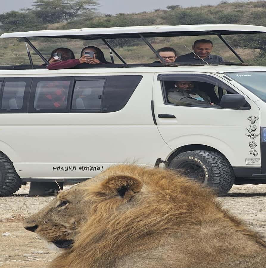 Nairobi: National Park Guided Game Drive - Four to five hours among grasslands and acacia trees