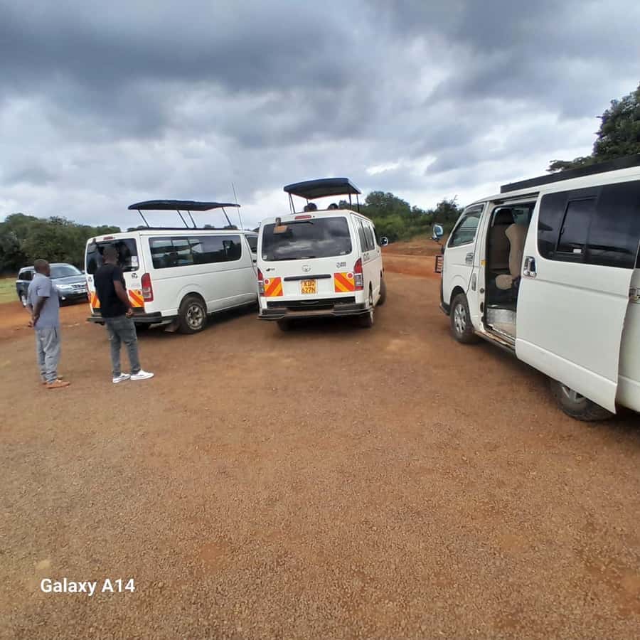Nairobi National Park: Half-Day Group Tour with Pickup - Rhinos, hippos, crocodiles, and the big-predator question