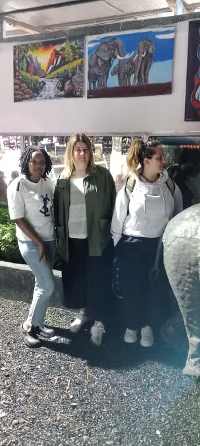 Nairobi National Park: Half-Day Group Tour with Pickup - Curio shops on the way out
