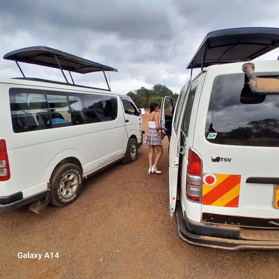 Nairobi National Park: Half-Day Group Tour with Pickup - Who should book this half-day safari?
