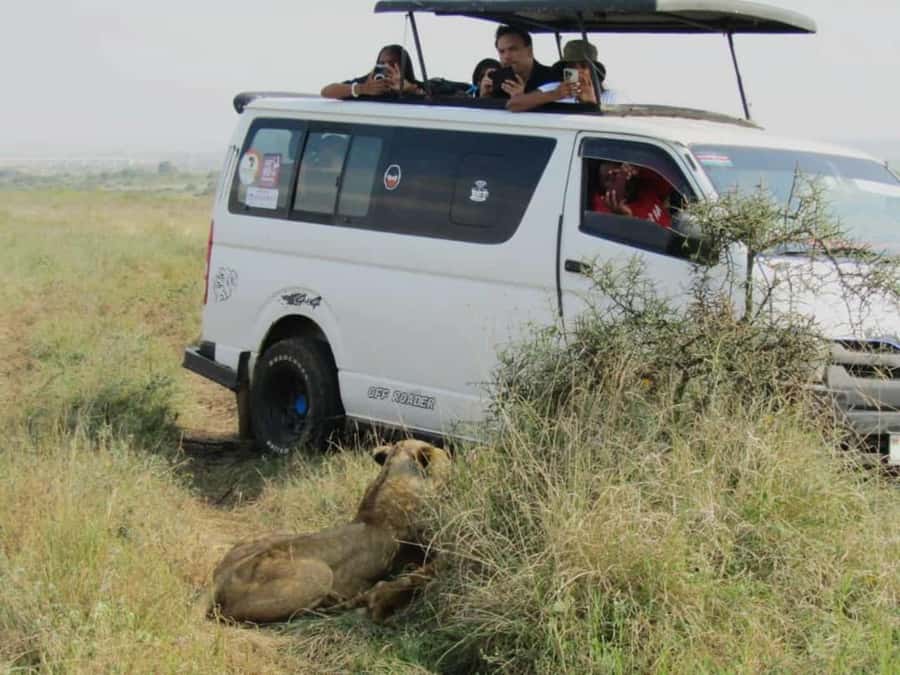 Nairobi National Park Half-Day Guided Game Drive With Pickup - Pickup from Nairobi and the drive to the gate