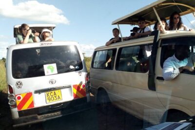 Nairobi National Park Half-Day Tour; Free Wi-Fi connection