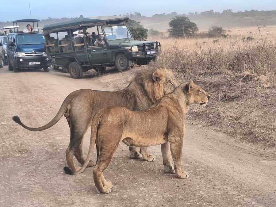 Nairobi National Park Morning Or Evening Game Drive Tour - The real cost is closer to $113