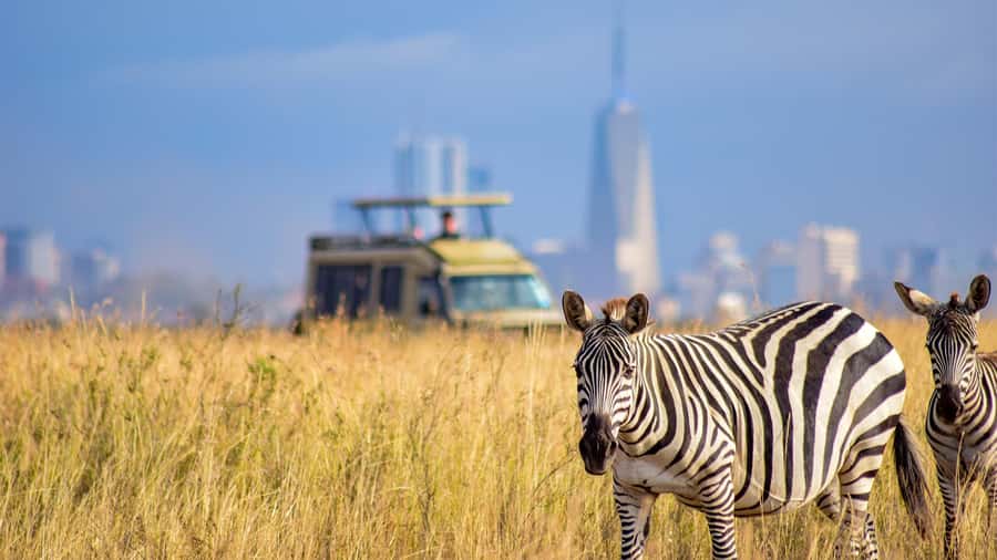 Nairobi National Park, Orphanage, Giraffe & Beads Tour - 6:00 AM pickup and the early start
