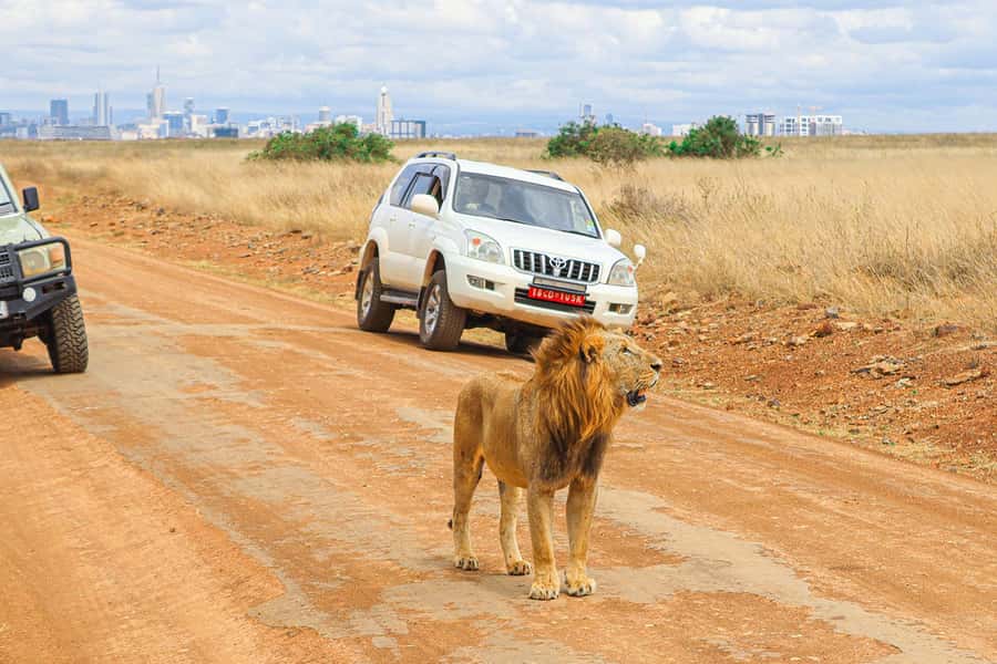 Nairobi: National Park Private Tour in 4X4 Jeep - Why Nairobi National Park makes a strong first safari