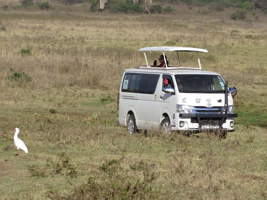 Nairobi national park: Sunrise and Sunset Tours - A real safari morning beside Nairobi