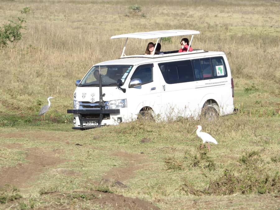 Nairobi national park: Sunrise and Sunset Tours - The 30-minute ride from Nairobi