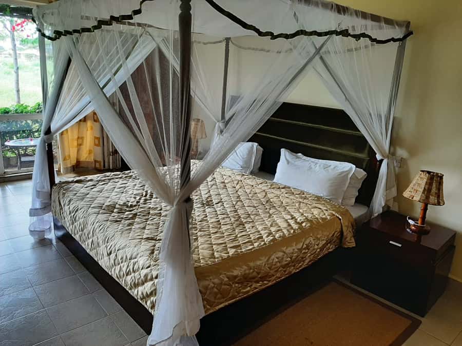 Nairobi: Overnight Safari Trip to Amboseli National Park - Arriving in time for lunch at AA Amboseli Lodge