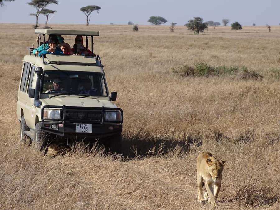 Nairobi: Overnight Safari Trip to Amboseli National Park - Afternoon game drive: elephants, giraffes, and predators