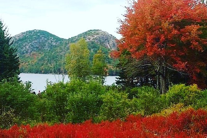Narrated Bus Tour of Bar Harbor and Acadia National Park - Thunder Hole and the Ocean Drive stop