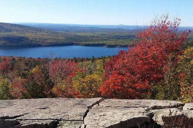Narrated Bus Tour of Bar Harbor and Acadia National Park - Price and what you receive for $67.31