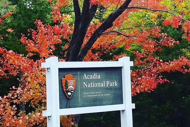 Narrated Bus Tour of Bar Harbor and Acadia National Park - Who should book this bus tour