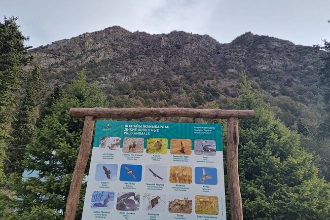 National park Ala-Archa & Chunkurchak ski base resort - Who will get the most from this day