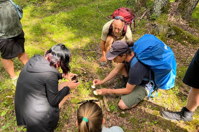 National Park Hike & Finnish Smoke Sauna Experience with Campfire Lunch - The smoke sauna and cold lake routine