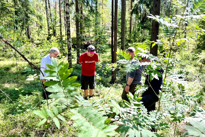 National Park Hike & Finnish Smoke Sauna Experience with Campfire Lunch - Who should book this experience