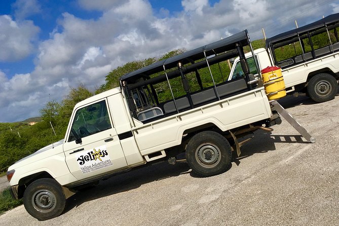 National Park Jeep Safari - The Orchid Trail and seasonal nature