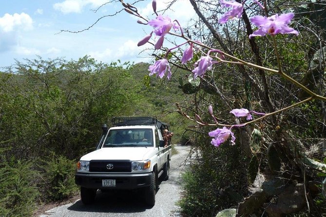 National Park Jeep Safari - Five hours of island sights, stories, and changing terrain