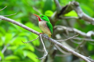 National Park of the East Private Hiking Tour with Swimming