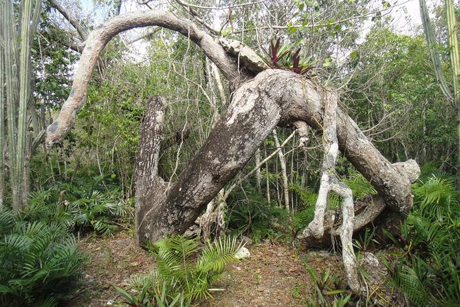 National Park of the East Private Hiking Tour with Swimming - Should you book the National Park of the East private tour?