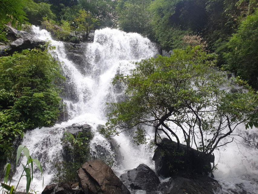 National Park - Paradise Cave & Phong Nha Cave - Who should book this day trip