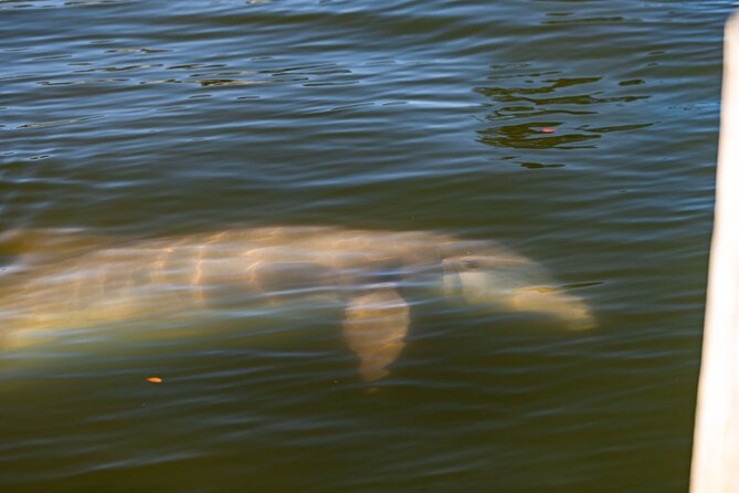 National Park Pedal Kayak Tours in New Smyrna Beach - Eldora State House adds a historic stop