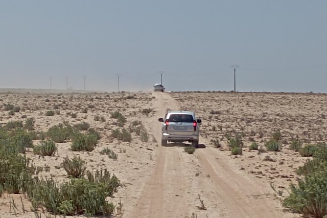 National Park & Sahara Day trip with Food - Sandboarding on ocean-view dunes