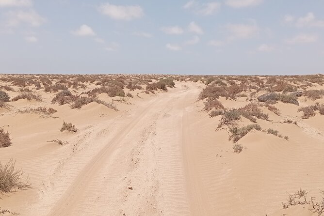 National Park & Sahara Day trip with Food - What the $117.46 price means