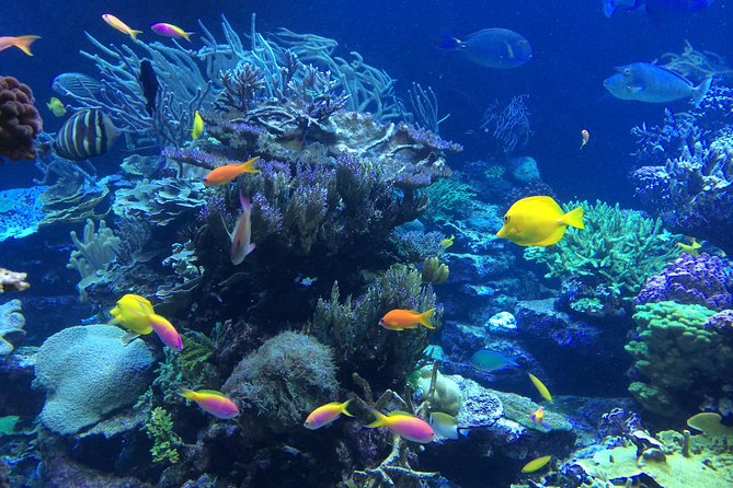 National Park Snorkeling Excursion - The crew helps first-timers feel at ease