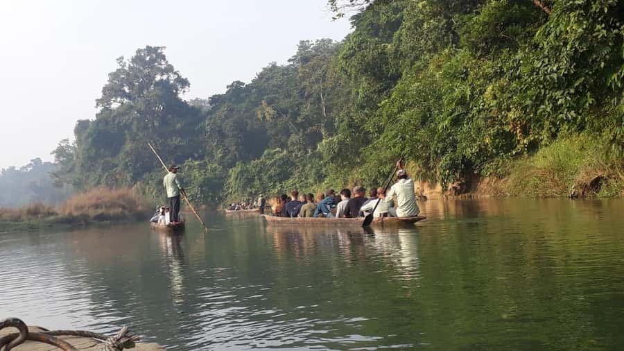 Nepal: Chitwan National Park 3-Day Jungle Tower Stay - Why the jungle tower changes the experience