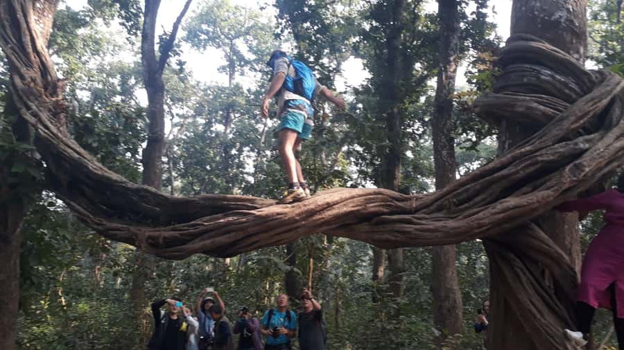 Nepal: Chitwan National Park 3-Day Jungle Tower Stay - Three calendar days, but listed as two days