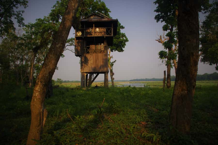 Nepal: Chitwan National Park 3-Day Jungle Tower Stay - Day one: coach ride, canoe, and jungle walking