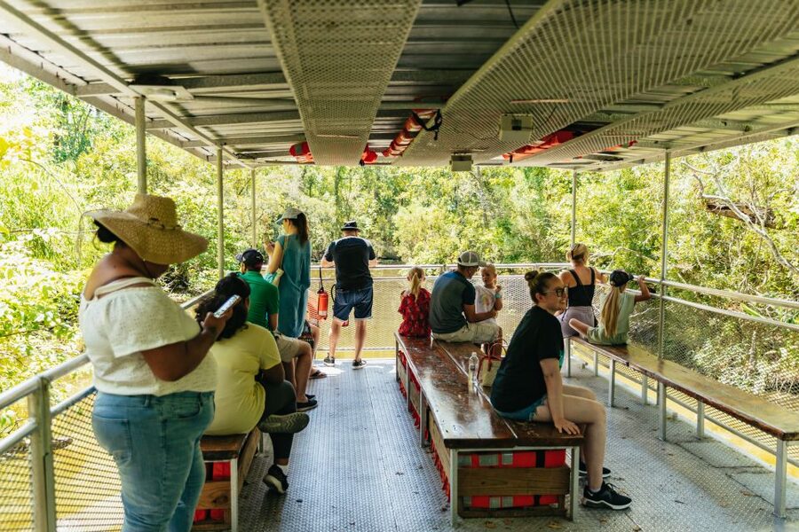 New Orleans: Bayou Tour in Jean Lafitte National Park - Key points to know before you go