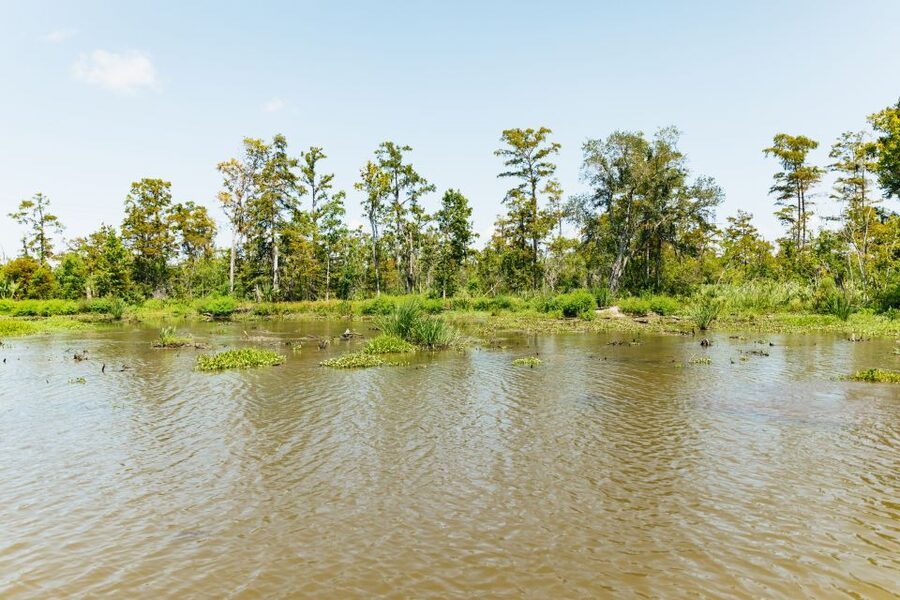 New Orleans: Bayou Tour in Jean Lafitte National Park - Practical details at a glance