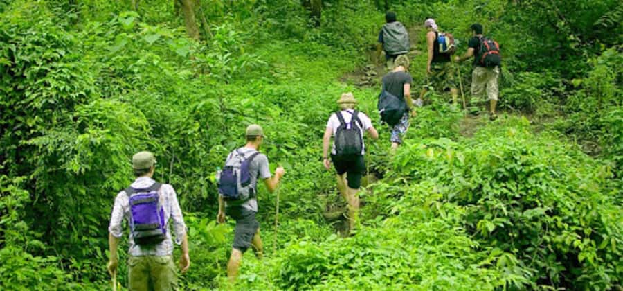Ninh Binh: Cuc Phuong National Park 1 Day Small Group - Why Cuc Phuong makes a strong day trip from Ninh Binh