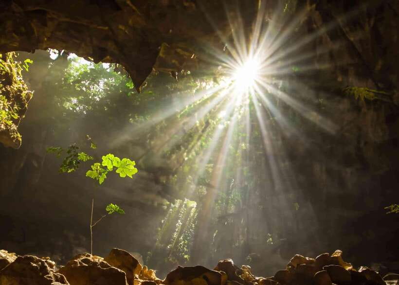 Ninh Binh: Cuc Phuong National Park Day Trip with Lunch - Key points to know before you book