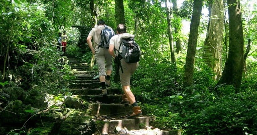 Ninh Binh: Cuc Phuong National Park Day Trip with Lunch - What to pack for a comfortable day